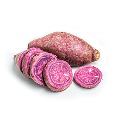 Violette Süßkartoffeln | Purple Sweet Potatoes [pro Kilo] von Quast Meerrettich