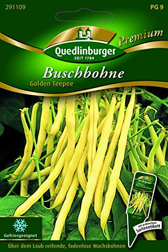 Bohnen Busch- Golden Teepee - Phaseolus vulgaris L. var. nanus QLB Premium Saatgut Bohnen von Quedlinburger