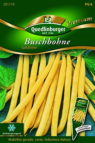 Bohnen Busch- Goldtime - Phaseolus vulgaris L. var. nanus QLB Premium Saatgut Bohnen von Quedlinburger
