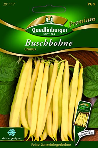 Bohnen Busch- Uranus - Phaseolus vulgaris L. var. nanus QLB Premium Saatgut Bohnen von Quedlinburger