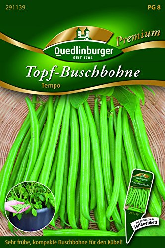 Bohnen Topf-Busch- Tempo - Phaseolus vulgaris L. var. nanus QLB Premium Saatgut Bohnen von Quedlinburger