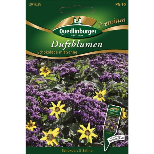 Duftblumen, Schokolade mit Sahne von Quedlinburger