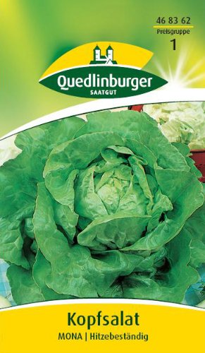 Kopfsalat, Mona Kopfsalat, Mona von Quedlinburger