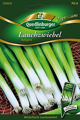 Lauchzwiebeln Kaigaro von Quedlinburger Saatgut Lauchzwiebeln Kaigaro von Quedlinburger Saatgut von Quedlinburger