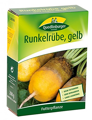 Quedlinburger 205106 Runkelrübe gelb 200 g (Rübensamen) von Quedlinburger