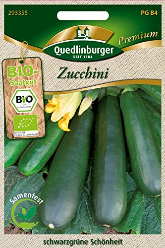 Quedlinburger 293355 Zucchini dunkelgrün (Bio-Zucchinisamen) von Quedlinburger