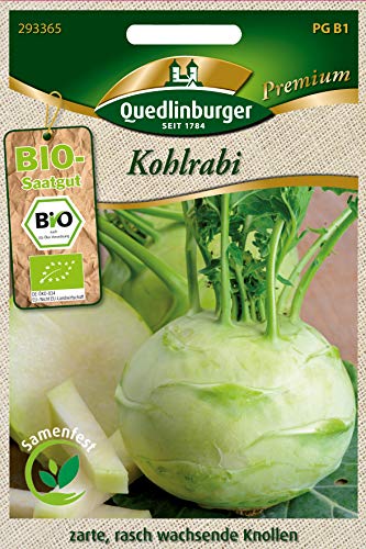Quedlinburger 293365 Kohlrabi weiß (Bio-Kohlrabisamen) von Quedlinburger
