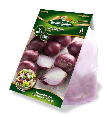 Quedlinburger 360945 Pflanzschalotte Biztro (8 Stück) (Pflanzschalotten) von Quedlinburger