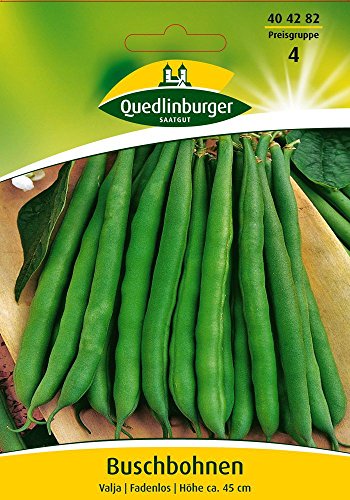 Quedlinburger 404282 Buschbohne Valja (Buschbohnensamen) von Quedlinburger