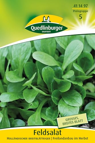 Quedlinburger 411497 Feldsalat Holländisch breitblättrig (10 g) (Feldsalatsamen) von Quedlinburger