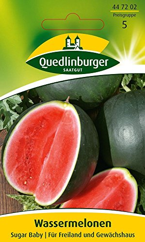 Quedlinburger 447202 Wassermelone Sugar Baby (Wassermelonensamen) von Quedlinburger