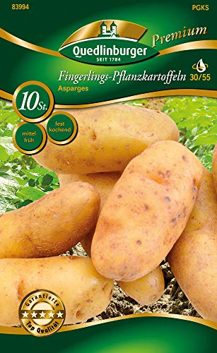 Quedlinburger 83994 Kartoffel Asparges (10 Stück) (Pflanzkartoffeln) von Quedlinburger
