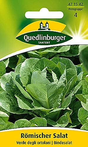 Römischer Salat Verde degli ortolani | Bindesalat (Lactuca sativa) Standardsaatgut EG-Norm von Quedlinburger