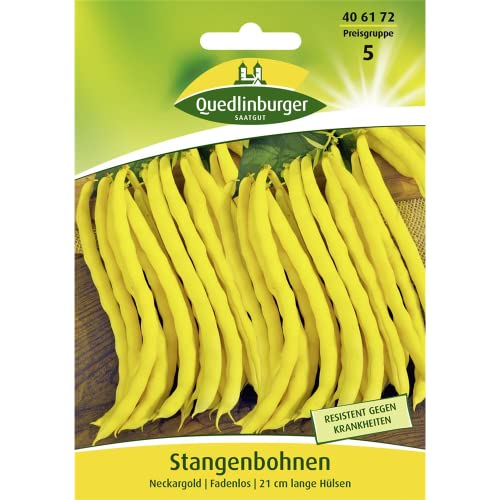 Stangenbohne, Neckargold von Quedlinburger