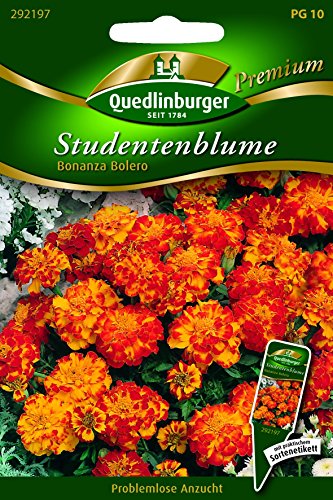 Studentenblumen Bonanza Bolero QLB Premium Saatgut Studentenblumen von Quedlinburger