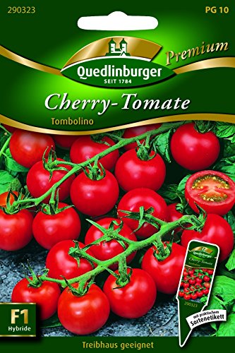 Tomaten Tombolino - Solanum lycopersicon QLB Premium Saatgut Tomaten von Quedlinburger
