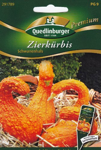 Zierkürbis, Schwanenhals von Quedlinburger