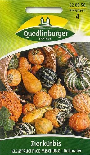 Zierkürbis, kleinfrüchtige Mischung Zierkürbis, kleinfrüchtige Mischung von Quedlinburger