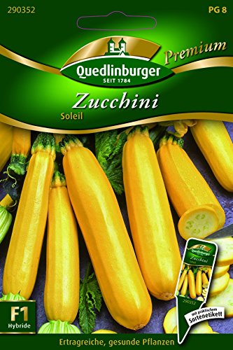Zucchini Soleil - Cucurbita pepo L. QLB Premium Saatgut Zucchini von Quedlinburger