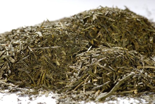 Japanischer Sencha Ariake - Grüntee - 100 g, lose von Quertee