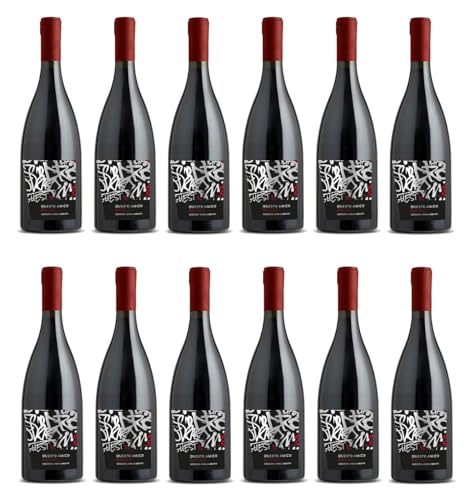 12x 0,75l - Questo Amico - Leggero Appassimento - Rosso - Veneto I.G.P. - Italien - Rotwein trocken 12x 0,75l - Questo Amico - Leggero Appassimento - Rosso - Veneto I.G.P. - Italien - Rotwein trocken von Questo Amico