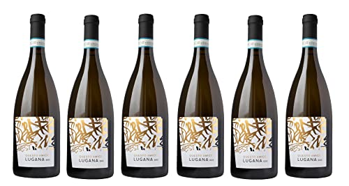 6x 0,75l - 2022er - Questo Amico - Lugana D.O.P. - Veneto - Italien - Weißwein trocken 6x 0,75l - 2022er - Questo Amico - Lugana D.O.P. - Veneto - Italien - Weißwein trocken von Questo Amico
