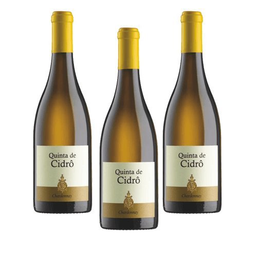Quinta de Cidrô Chardonnay - Weißwein - 3 Flaschen von Quinta de Cidrô