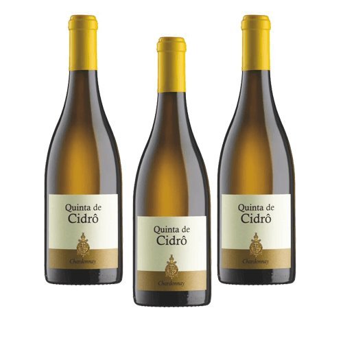 Quinta de Cidrô Chardonnay - Weißwein - 3 Flaschen Quinta de Cidrô Chardonnay - Weißwein - 3 Flaschen von Quinta de Cidrô