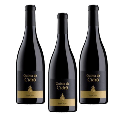 Quinta de Cidrô Pinot Noir - Rotwein - 3 Flaschen von Quinta de Cidrô