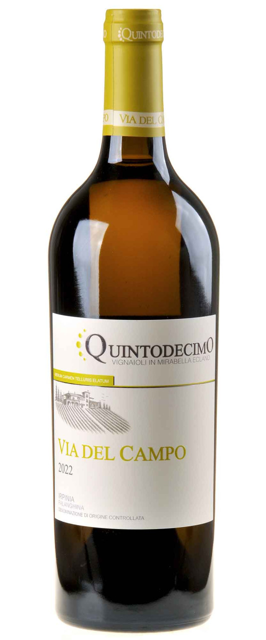 Quintodecimo Falanghina Via Del Campo 2022 von Quintodecimo