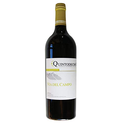 Weißwein Falanghina Via del Campo DOC - Quintodecimo - 6 Stück Karton von Quintodecimo