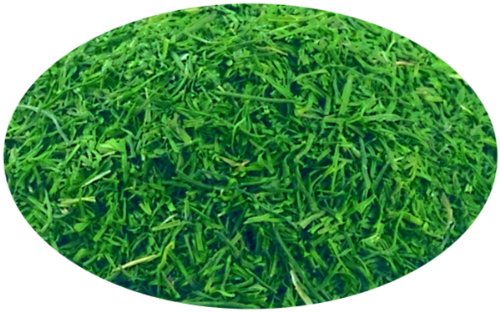 1a RAPS Gewürze - DILLSPITZEN --- Tresorbeutel 500g --- 1000805-005 1a RAPS Gewürze - DILLSPITZEN --- Tresorbeutel 500g --- 1000805-005 von RAPS Rohgewürze