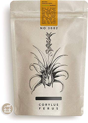 RAUWOLF | 3002 CORYLUS FERUS | 250g Kaffee | gebrannte Mandeln | gemahlen 5,5 Brühkaffee / cold brew | EHRLICH! FRISCH GERÖSTET | VERSAND IN 24H AB 1KG FREI von RAUWOLF RÖSTHAUS + BREWBAR