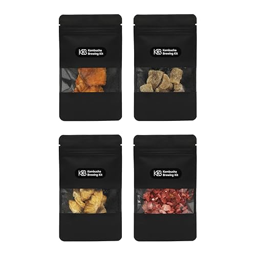 Kombucha Infusion Aufguss Set Bio mit 4 Geschmacksrichtungen aus kristallisiertem Ingwer, getrockneter Mango, Ananas & gefriergetrockneten Erdbeeren, Bio Qualität für 4 Chargen Kombucha von ROY Kombucha Brewery Berlin