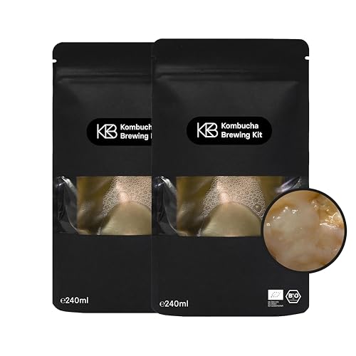 Kombucha XL Bio Scoby, sehr aktive Starterkultur mit Kombucha Pilz aus 100% Bio Tee, Erfolgsgarantie, zur Herstellung von 2,4 – 4,8 l Kombucha, handgefertigt, vegan, glutenfrei, laktosefrei, 480 ml von ROY Kombucha Brewery Berlin