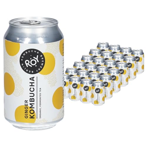 ROY Ginger Kombucha Bio, 24 Dosen à 330 ml Bio Kombucha mit Ingwer, handgefertigt in unserer Berliner Brauerei, vegan, glutenfrei, laktosefrei, 24er Pack, inkl. Pfand von ROY Kombucha Brewery Berlin