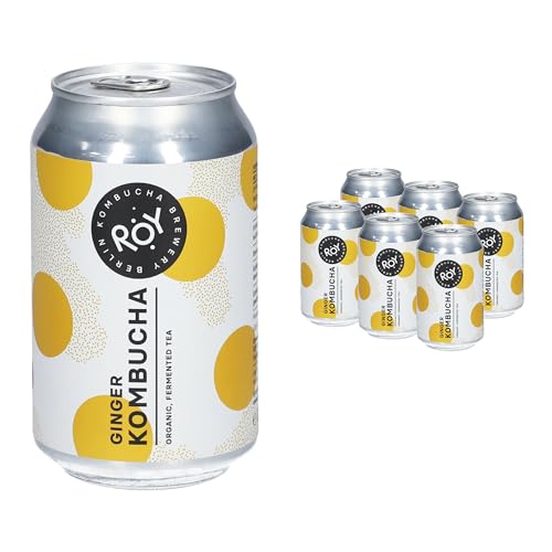 ROY Ginger Kombucha Bio, 6 Dosen à 330 ml Bio-Kombucha mit Ingwer, handgefertigt in unserer Berliner Brauerei, vegan, glutenfrei, laktosefrei, 6er Pack, inkl. Pfand von ROY Kombucha Brewery Berlin