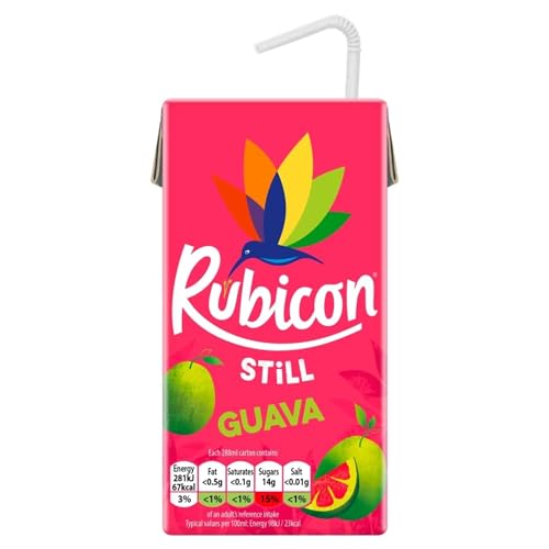 RUBICON Guavensaftgetränk - 1 x 288 ml von Rubicon