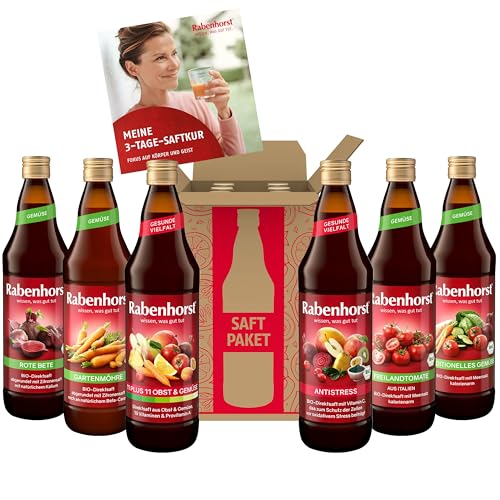 RABENHORST Saftpaket "3-Tage-Saftkur" - 6 verschiedene Gemüse- & Mehrfruchtgemüsesäfte (6 x 700 ml) zum Saftfasten - inklusive Kur-Broschüre - aus hochwertigen Direktsäften - vegan - pfandfrei von Rabenhorst