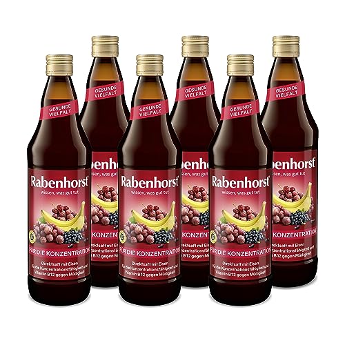 RABENHORST Für die Konzentration 6er Pack (6 x 700 ml) - Mehrfruchtsaft mit Eisen, Vitamin B12 und Ginkgo-Extrakt von Rabenhorst