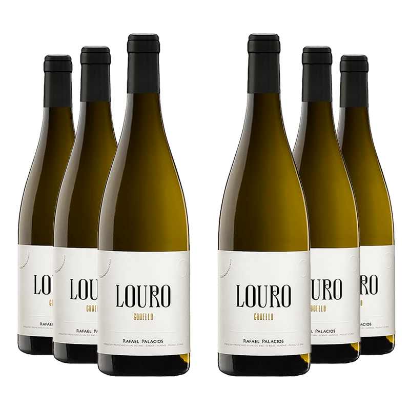 Rafael Palacios : Louro 2023 Rafael Palacios : Louro 2023 von Rafael Palacios