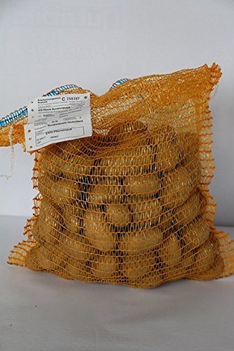 Pflanzkartoffeln Linda (5.0kg) von Jlwiy