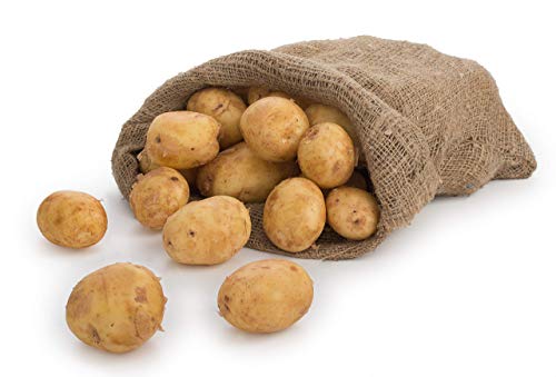 Speisekartoffel BELANA festkochend 10Kg Beutel Speisekartoffel BELANA festkochend 10Kg Beutel von Raiffeisen
