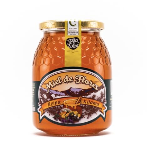 Reiner Bienenhonig. Honig der Blumen. 100 % Honig Spanischer Herkunft in einem 500-g-Behälter. Vielblütiger Honig, der im gesamten Spanien. Dieser Honig ist ein hervorragender Ersatz für Zucker. Reiner Bienenhonig. Honig der Blumen. 100 % Honig Spanischer Herkunft in einem 500-g-Behälter. Vielblütiger Honig, der im gesamten Spanien. Dieser Honig ist ein hervorragender Ersatz für Zucker. von Reina Kilama