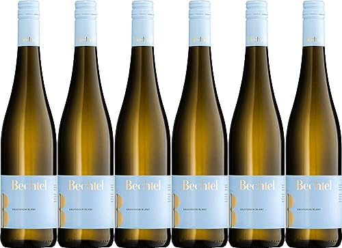 6x Sauvignon Blanc 2022 - Residenzweingut Bechtel Manfred Bechtel, Rheinhessen - Weißwein von Residenzweingut Bechtel Manfred Bechtel