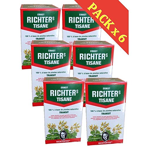 Richtertee Kräutertee, 100 % auf Basis natürlicher Pflanzen, für die Verdauung – 6 Boxen von Richter