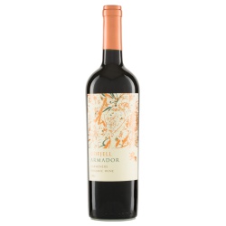 Carménère Armador Valle del Maipo Odfjell 2021 von Riegel