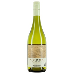 Chardonnay Adobe Reserva Valle de Casablanca Emiliana 2021 Chardonnay Adobe Reserva Valle de Casablanca Emiliana 2021 von Riegel