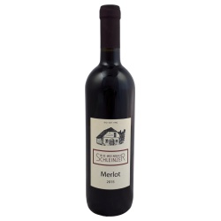 Merlot Weinviertel Schleinzer QW 2020 Merlot Weinviertel Schleinzer QW 2020 von Riegel