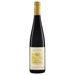 Pinot Noir Alsace Stentz AOP 2019 von Riegel